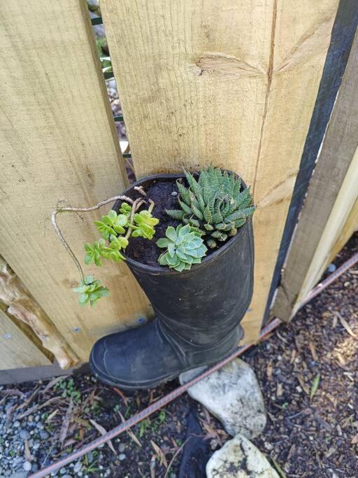 Gumboot Paradise Eco Stay Barrytown Bagian luar foto